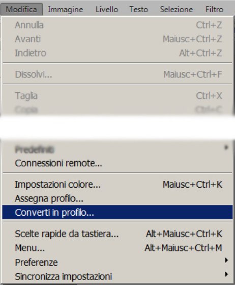 Converti profilo